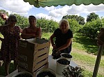 IMG_20240724_111421.jpg