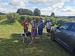 IMG_20240724_112413.jpg