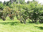 IMG_20240724_112902.jpg