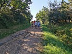 IMG_20240726_093329.jpg