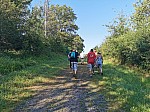 IMG_20240726_093409.jpg