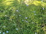 IMG_20240726_093936.jpg