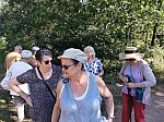 IMG_20240726_094728.jpg