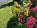 IMG_20240726_100514.jpg