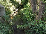 IMG_20240726_101340.jpg