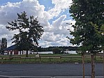 IMG_20240913_134543.jpg