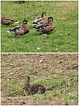 IMG_20240913_141913.jpg