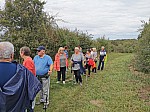 IMG_20240920_143709.jpg
