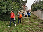IMG_20240920_150657.jpg