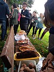 IMG-20240923-WA0000.jpg