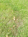 IMG_20240927_140346.jpg