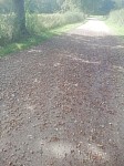 IMG_20240927_144222.jpg