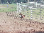 IMG_20240927_151556.jpg