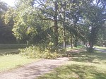 IMG_20240927_152325.jpg