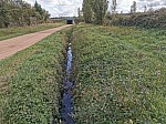 IMG_20241011_140112.jpg