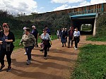 IMG_20241011_140659.jpg