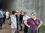 IMG_20241011_143334.jpg