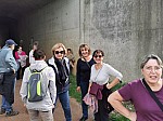 IMG_20241011_143336.jpg