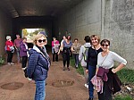 IMG_20241011_143347.jpg