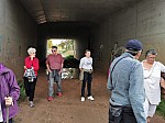 IMG_20241011_143351.jpg