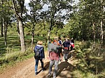 IMG_20241011_150741.jpg