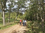 IMG_20241011_150802.jpg