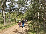 IMG_20241011_150811.jpg