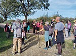 IMG_20241014_143351.jpg