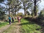IMG_20241014_154908.jpg