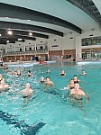 IMG_20241015_111841.jpg