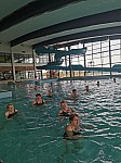 IMG_20241015_111926.jpg