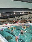 IMG_20241015_114346.jpg