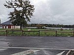 IMG_20241018_134806.jpg