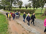 IMG_20241018_135141.jpg