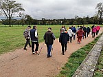 IMG_20241018_135206.jpg
