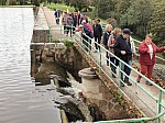 IMG_20241018_135922.jpg