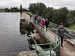 IMG_20241018_135936.jpg