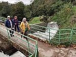 IMG_20241018_140006.jpg