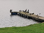IMG_20241018_140152.jpg