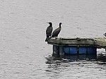 IMG_20241018_140216.jpg