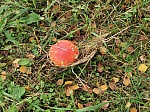 IMG_20241018_140828.jpg