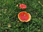 IMG_20241018_140829.jpg