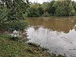 IMG_20241018_142453.jpg
