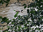 IMG_20241018_142529.jpg