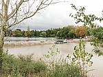 IMG_20241018_143754.jpg