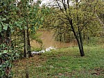 IMG_20241018_144251.jpg