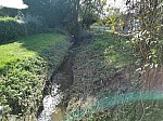 IMG_20241025_140705.jpg