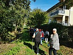 IMG_20241025_140715.jpg