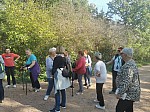 IMG_20241025_144135.jpg