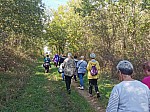 IMG_20241025_144224.jpg